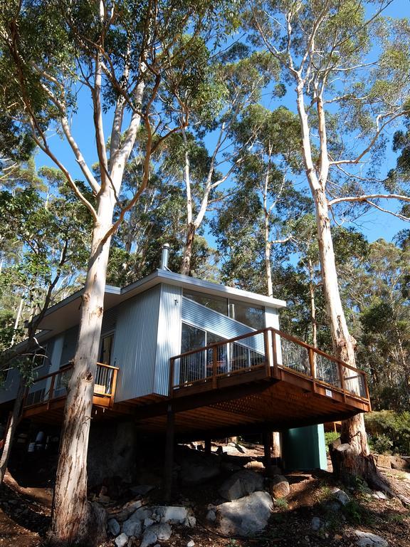 The Tree House Vila Denmark Exterior foto